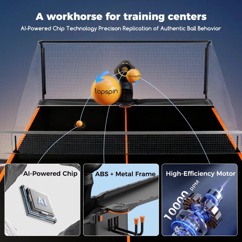 Pusun Dora Indoor Table Tennis - Table Tennis Net Price avis et prix